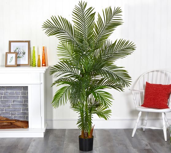 Faux Areca Palm Trees | Pottery Barn