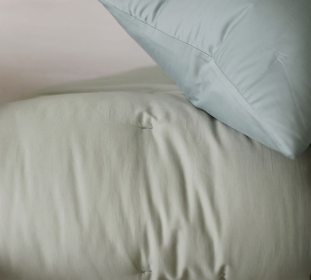Dream Brushed Cotton Comforter Pottery Barn