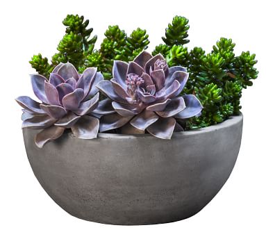 Ace Fiber Cement Bowl Planter | Pottery Barn