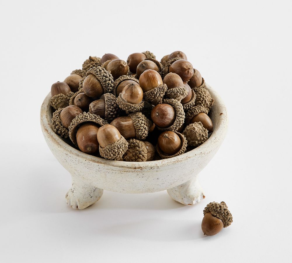Acorn Vase Filler Pottery Barn