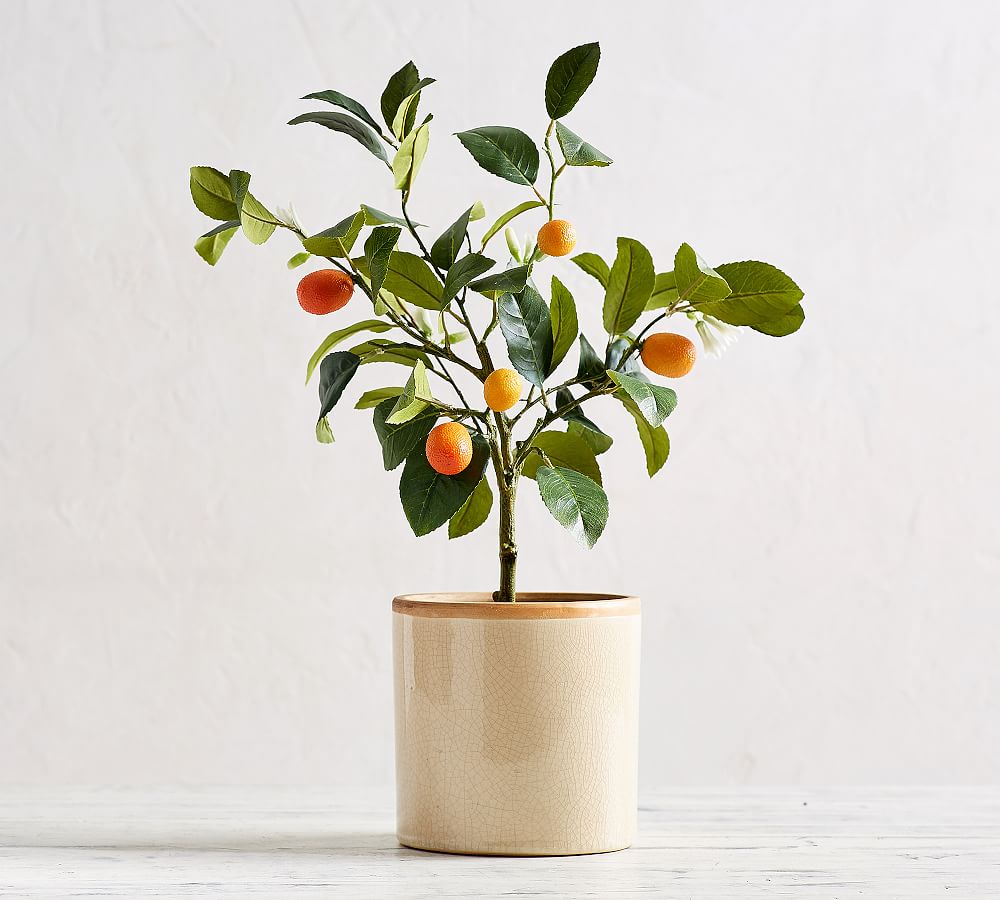 Faux Potted Kumquat Tree Pottery Barn