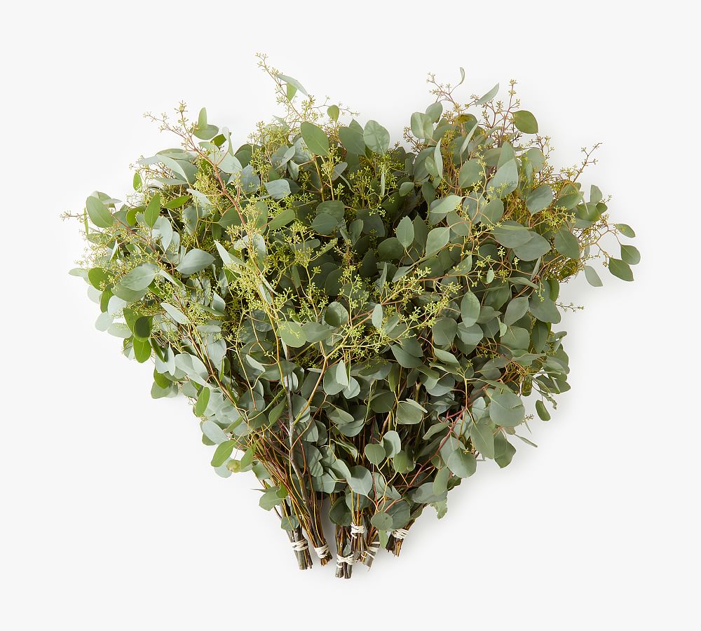 Live Seeded Eucalyptus Bunches Pottery Barn