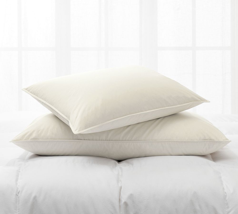 RENU 600 FP Recycled Down Pillow Pottery Barn