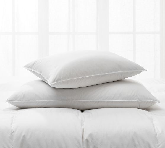 600 fp white goose down pillow