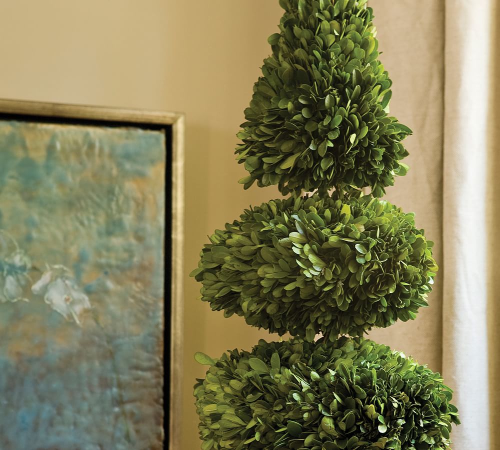 Preserved Boxwood Double Sphere & Cone Topiary Tree 28" Pottery Barn