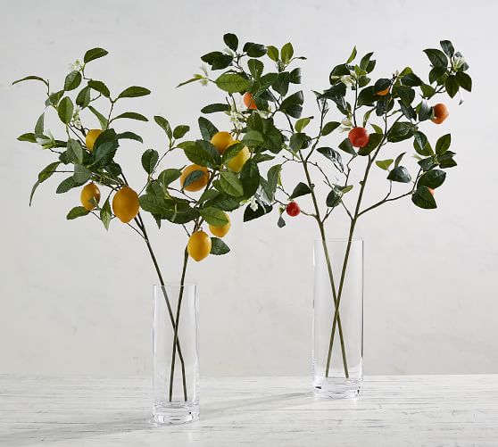 Faux Citrus Plant Collection Pottery Barn