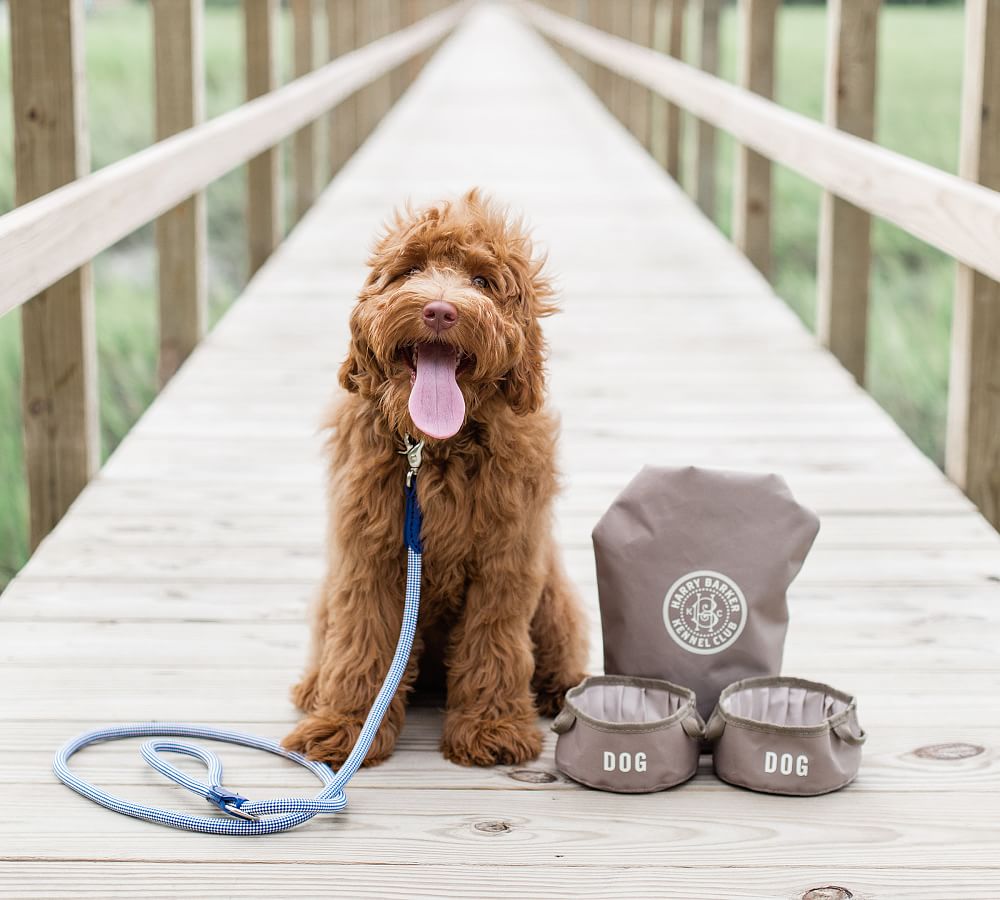 Harry barker clearance dog food storage