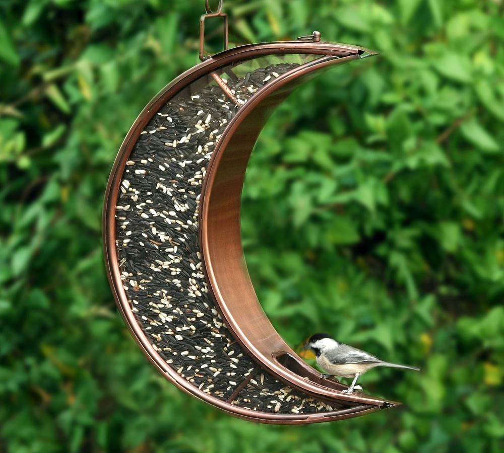 Buy: Seed of Hope Spring Art Inspirational Bird Kitchen