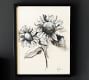 Charcoal Sunflower Sketch by The Artists Studio | Pottery Barn