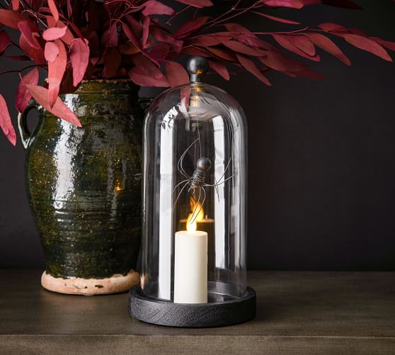 Halloween Spider Cloche Pottery Barn