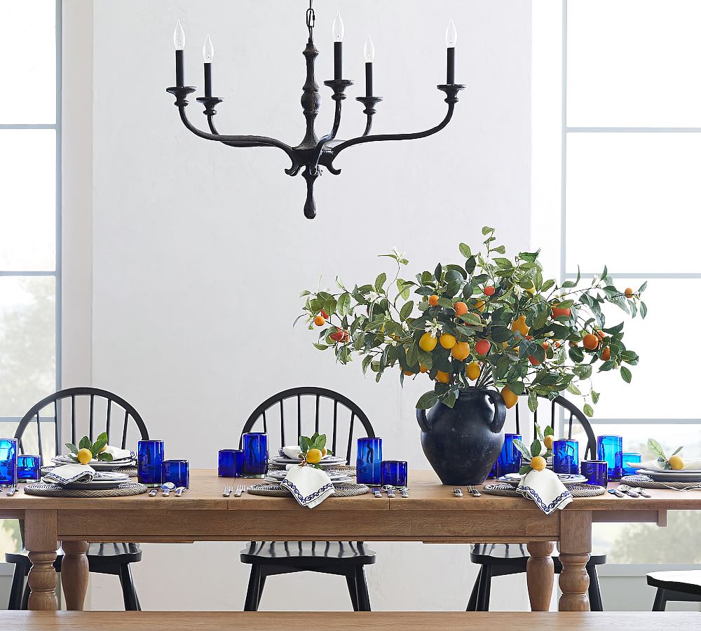 Faux Citrus Plant Collection Pottery Barn