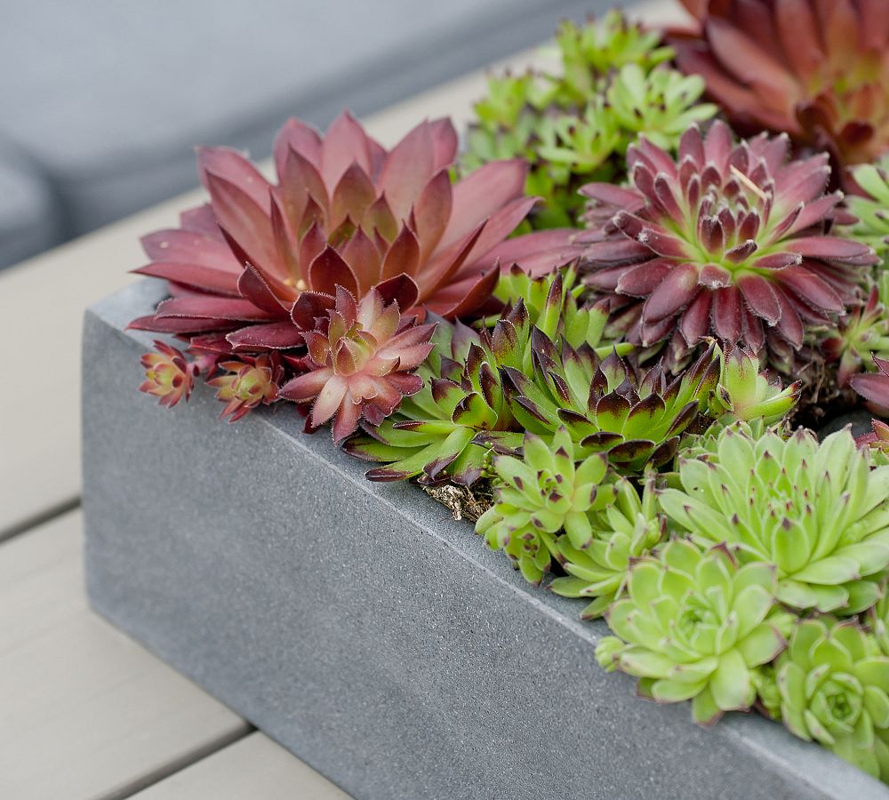 Modern Fiberstone Rectangle Planter