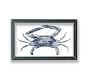 Crab Framed Acrylic Print | Coastal Wall Art | Pottery Barn