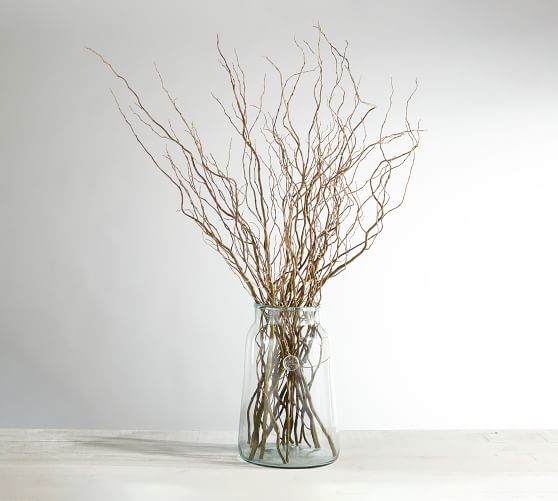 Fresh Willow, Curly Willow Branches