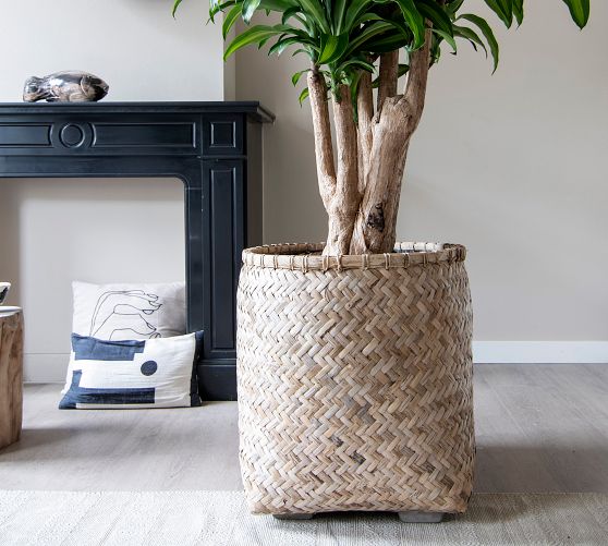 Handwoven Bohemian Cylinder Indoor/Outdoor Planter | Pottery Barn