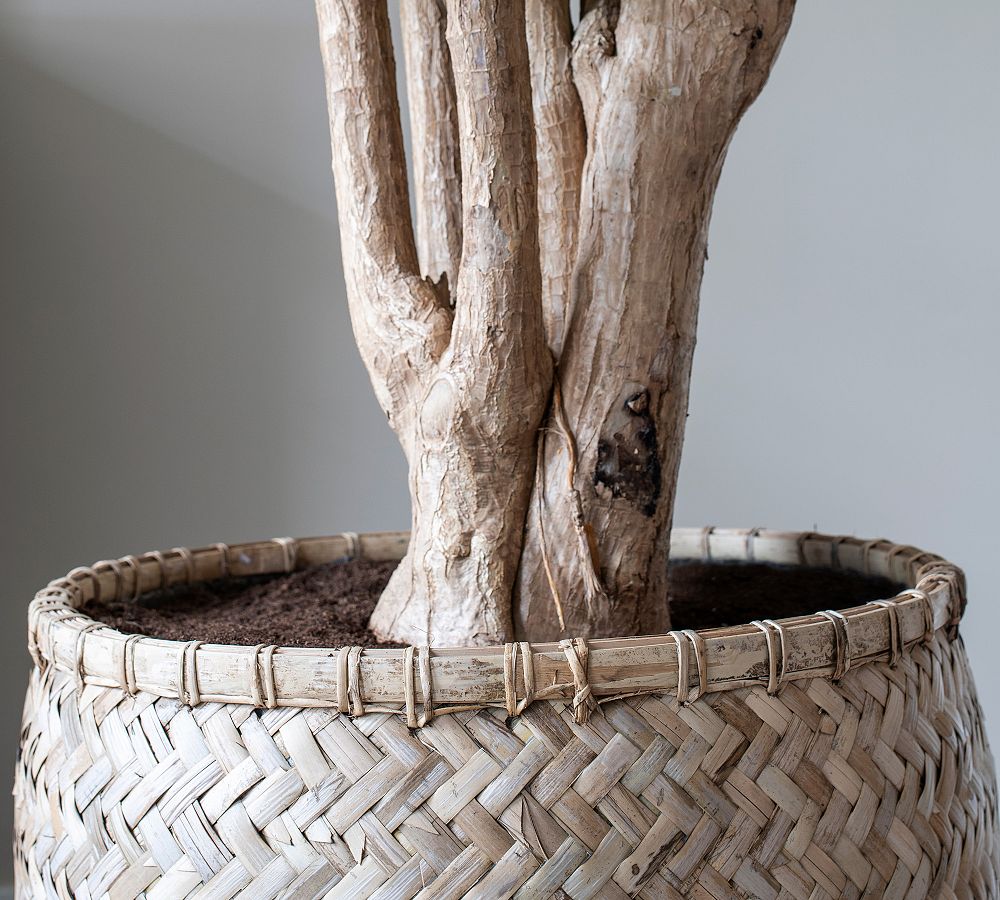 Handwoven Bohemian Cylinder Indoor/Outdoor Planter | Pottery Barn