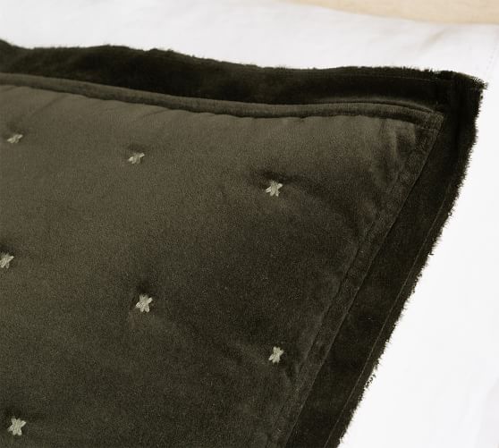 https://assets.pbimgs.com/pbimgs/rk/images/dp/wcm/202331/0011/velvet-tufted-quilt-c.jpg