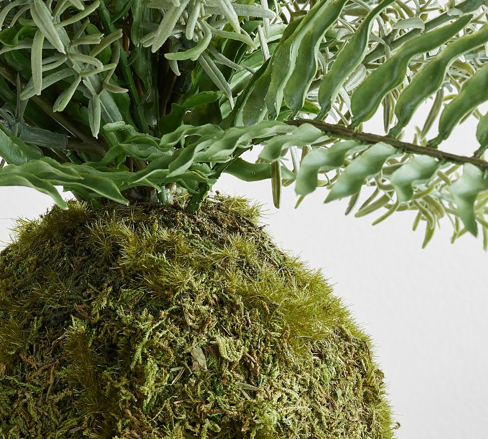 Sitemapcdatahttpautocellcare1comgrey Moss Pottery Barnnull