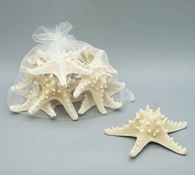 Starfish 10 Pack Assorted White Finger and Knobby Starfish 2-6 for Craft  and Décor