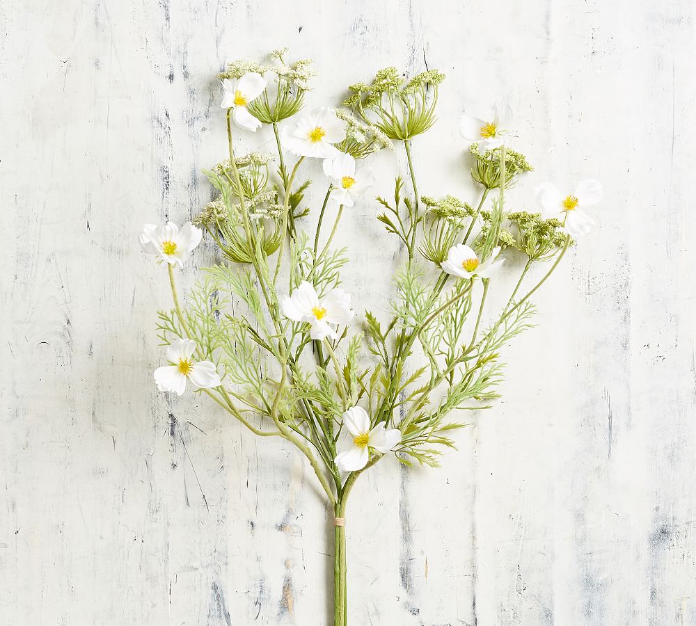 Faux Queen Anne's Lace And Cosmos Bouquet Pottery Barn