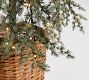 Lit Faux Draping Tree In Basket | Pottery Barn