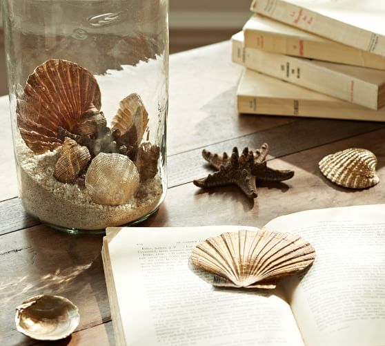 Gold Shell Vase Filler Pottery Barn