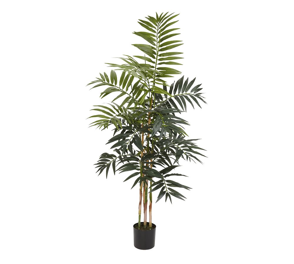 Faux Bamboo Palm Tree Pottery Barn