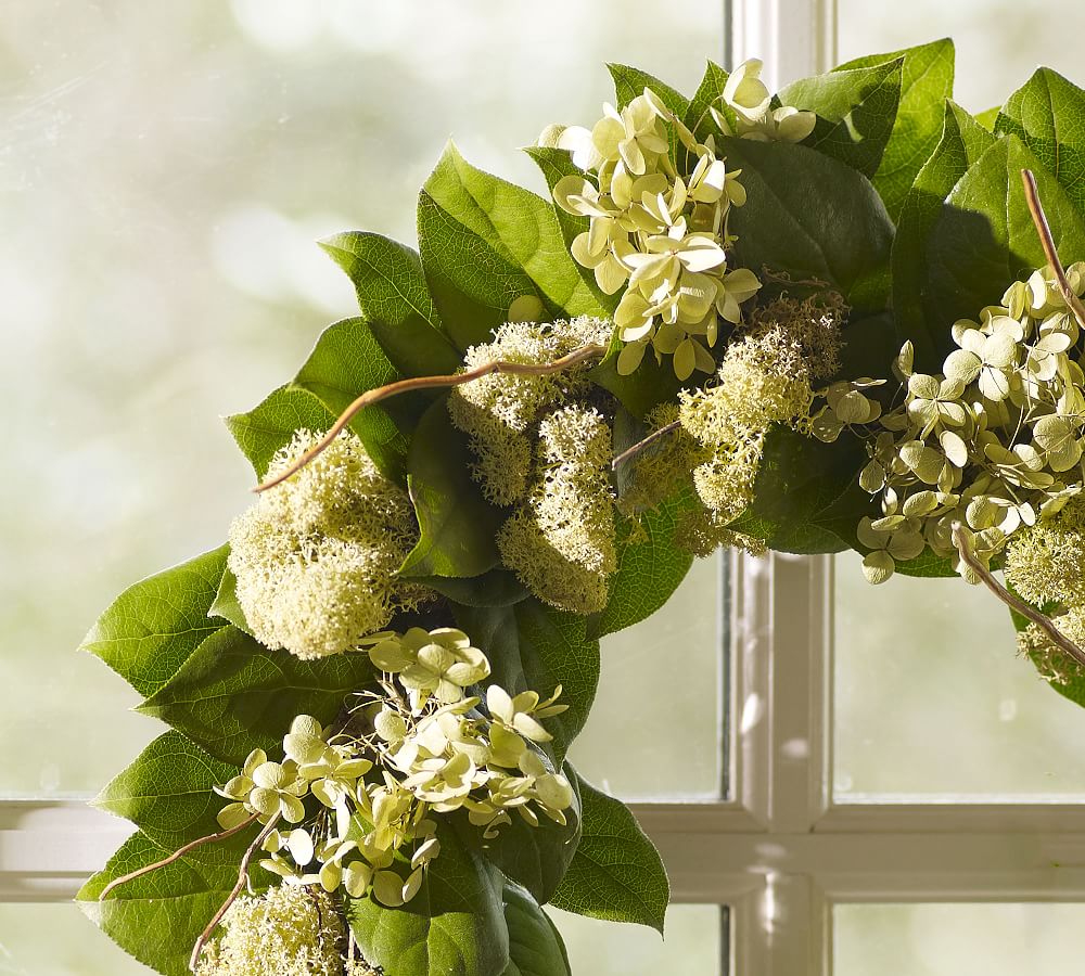 Fresh Willow & Hydrangea Wreath Pottery Barn