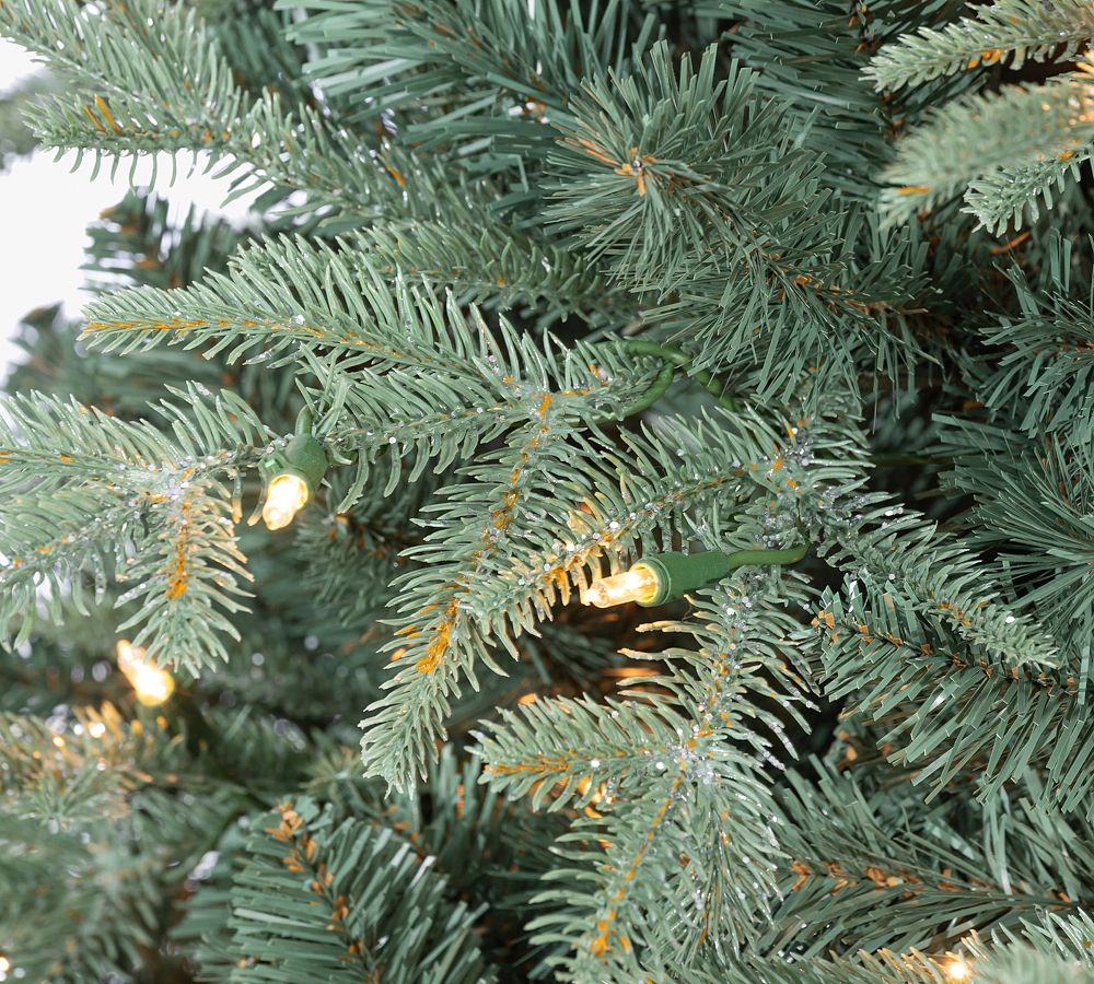 Lit Natural Cut Blue Spruce Faux Christmas Tree | Pottery Barn