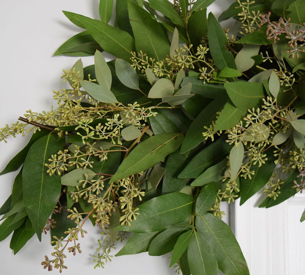 Fresh Bay Leaf & Seeded Eucalyptus Garland Pottery Barn