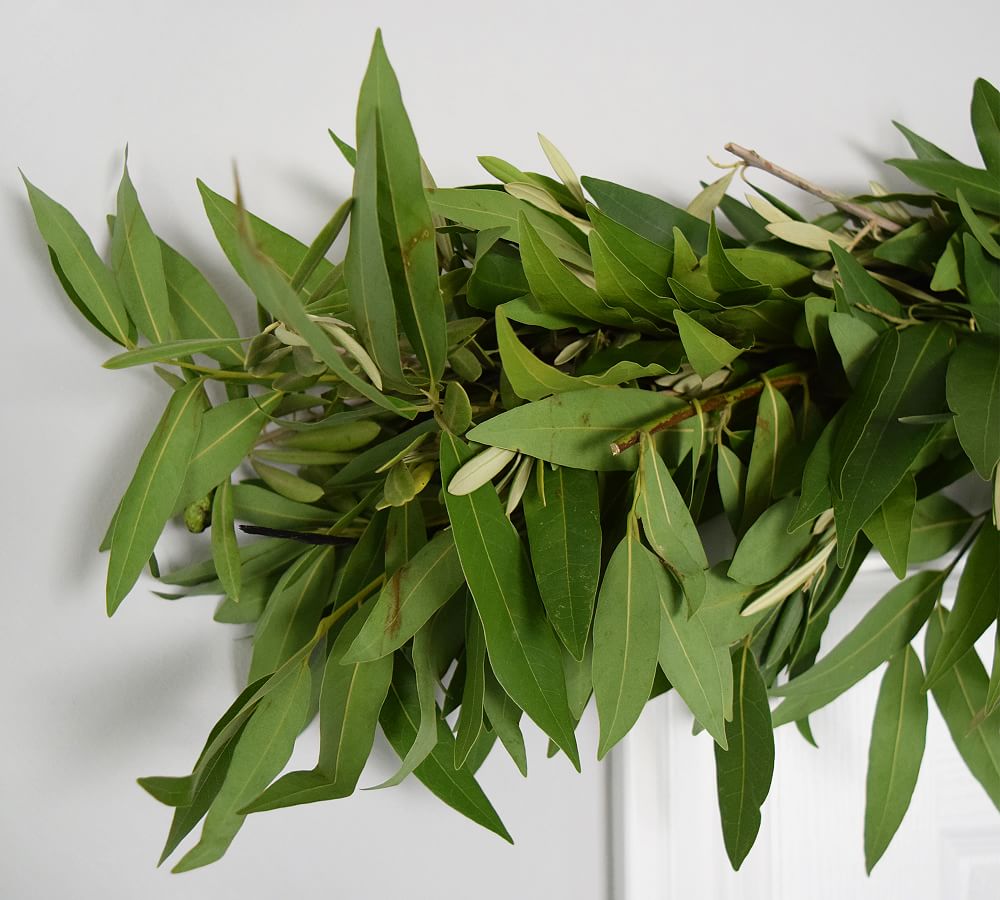 Olive, Rosemary and Bay Leaf Garland