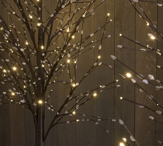 lit twig tree outdoor