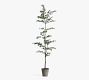 Faux Black Olive Tree | Pottery Barn