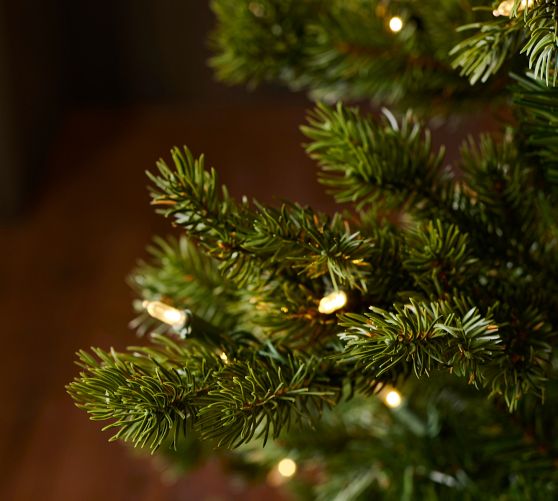 Lit Lakeshore Spruce Faux Christmas Tree Pottery Barn