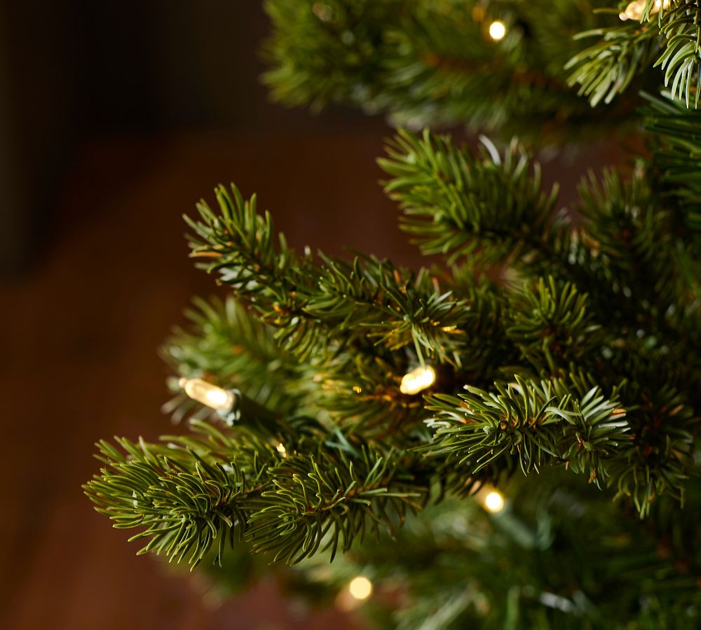 Lit Lakeshore Spruce Faux Christmas Tree Pottery Barn
