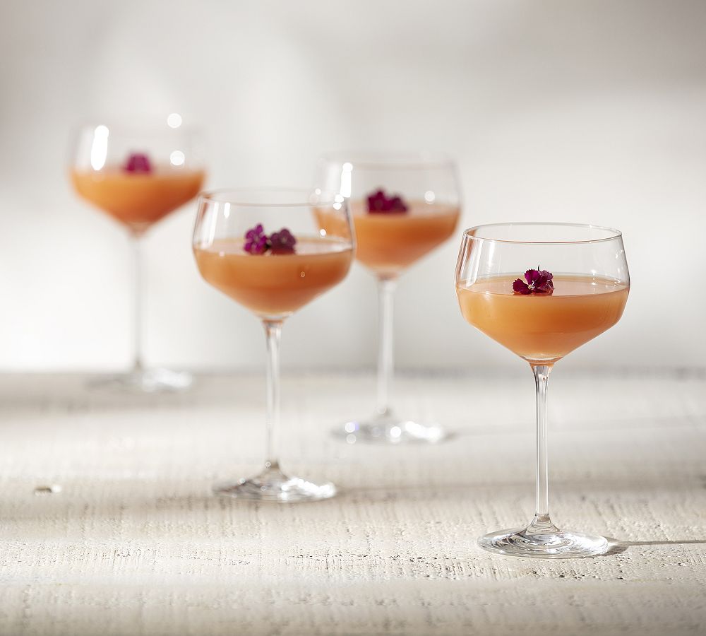 Schott Zwiesel Complete Bar Classic Cocktail Glasses 12-Piece Set