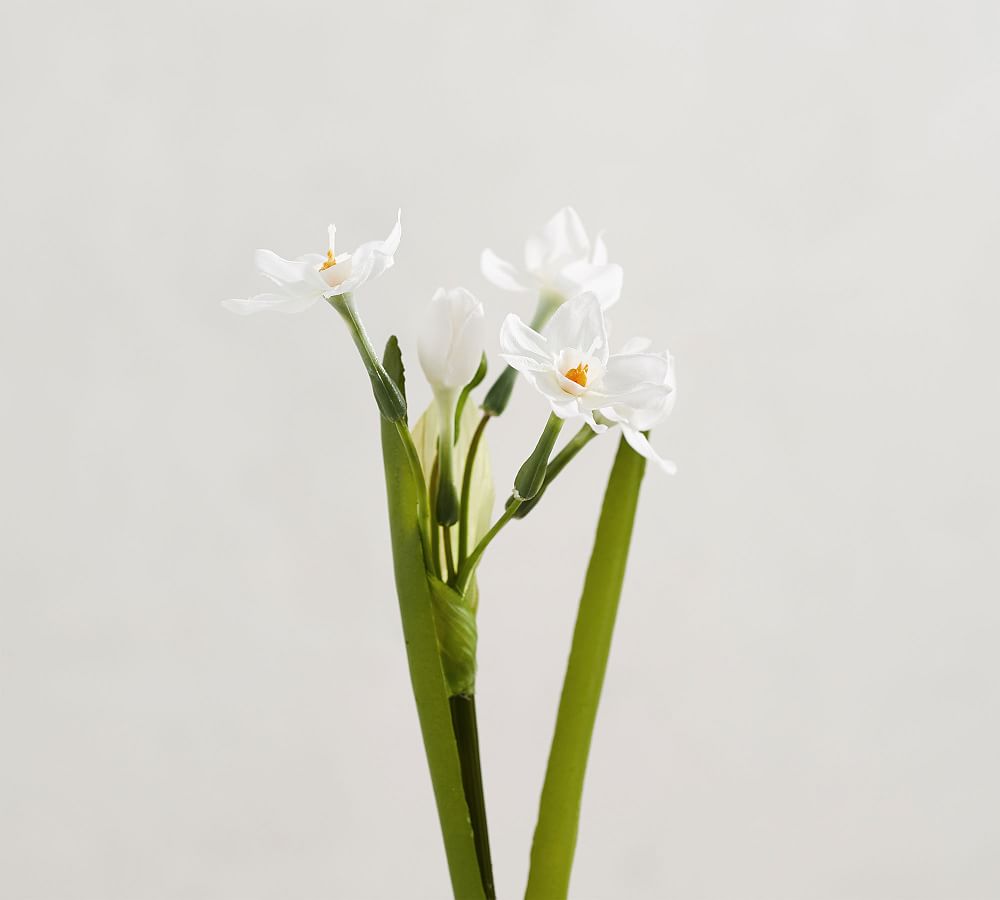 Faux Potted Paperwhites in Glass Vase Pottery Barn
