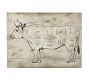 Cow Diagram | Wall Art | Pottery Barn