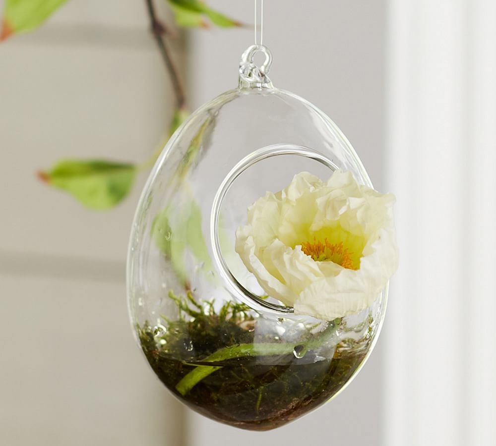 Mini Hanging Glass Terrarium Pottery Barn