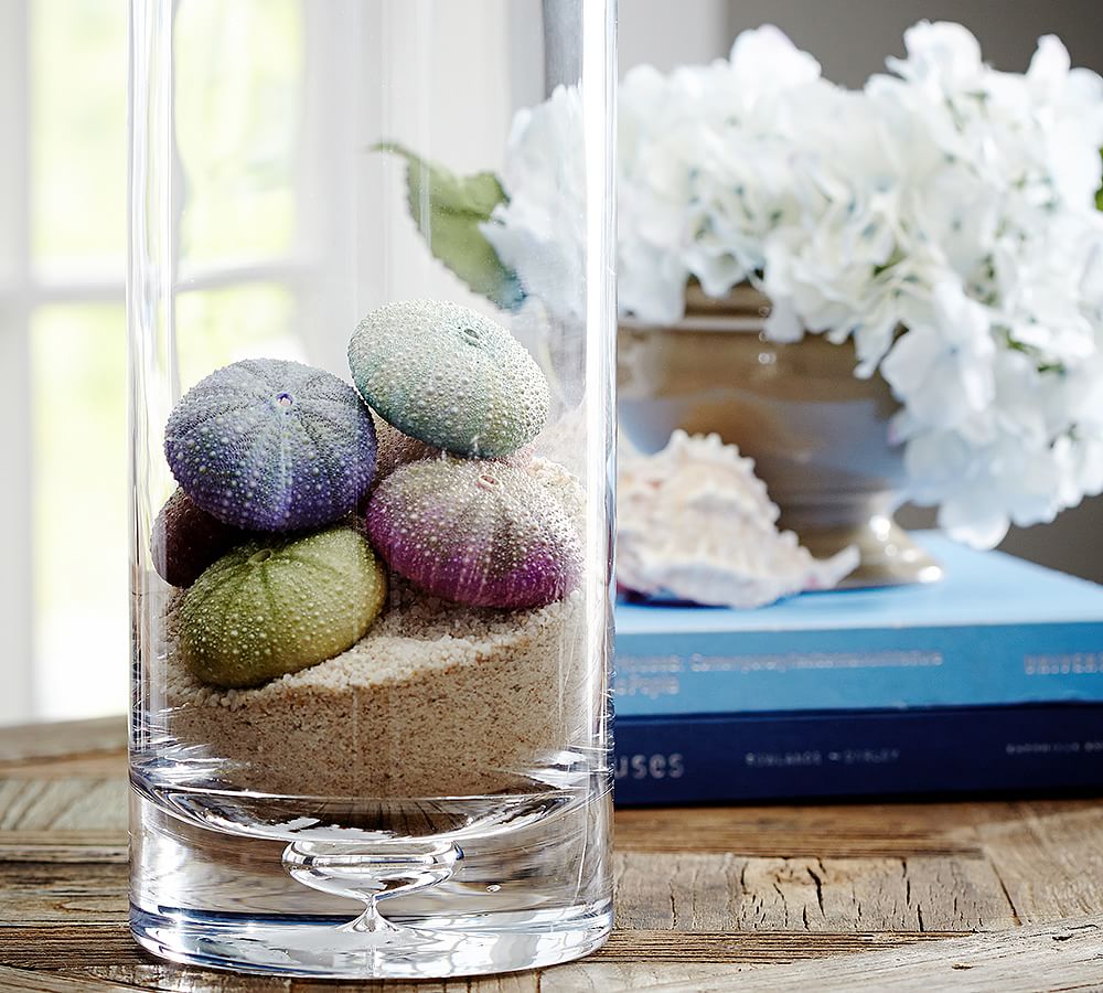 Faux Sea Urchin Vase Filler Pottery Barn