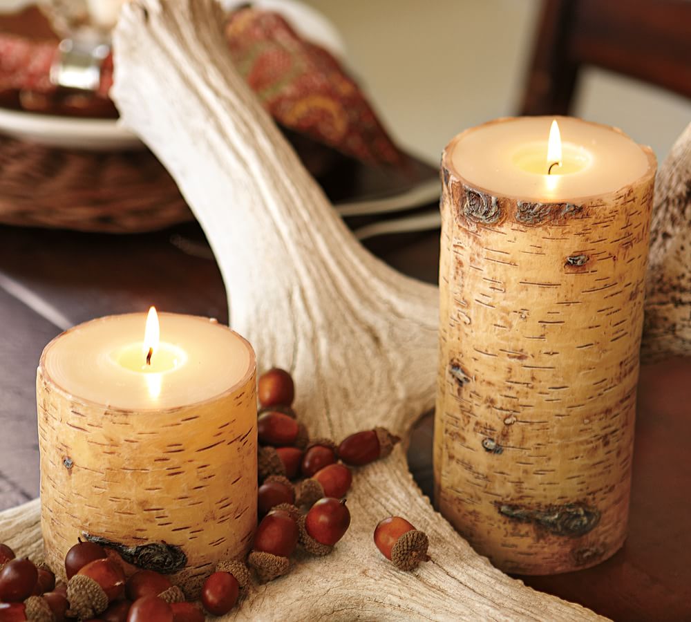 Painted Birch Candles Pottery Barn