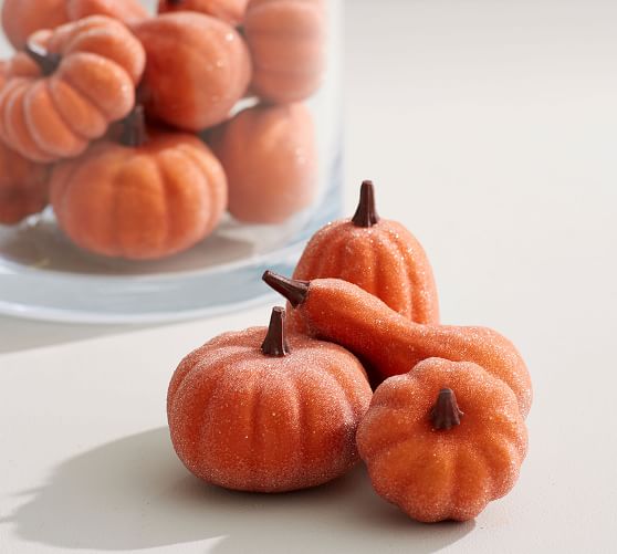 Sugared Pumpkin Vase Filler Pottery Barn
