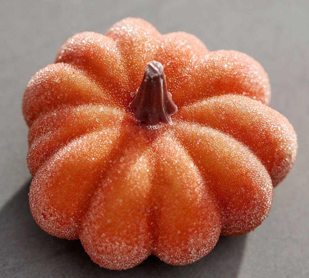 Sugared Pumpkin Vase Filler Pottery Barn