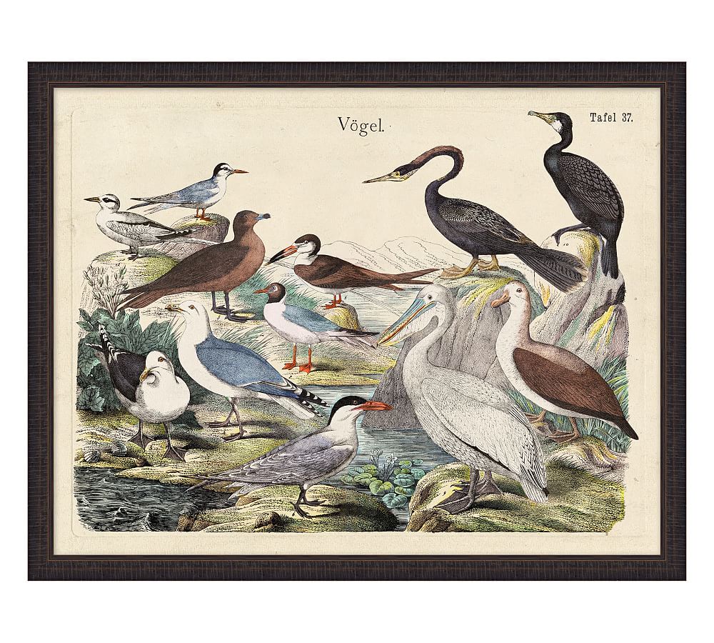 Seabirds Habitat | Pottery Barn