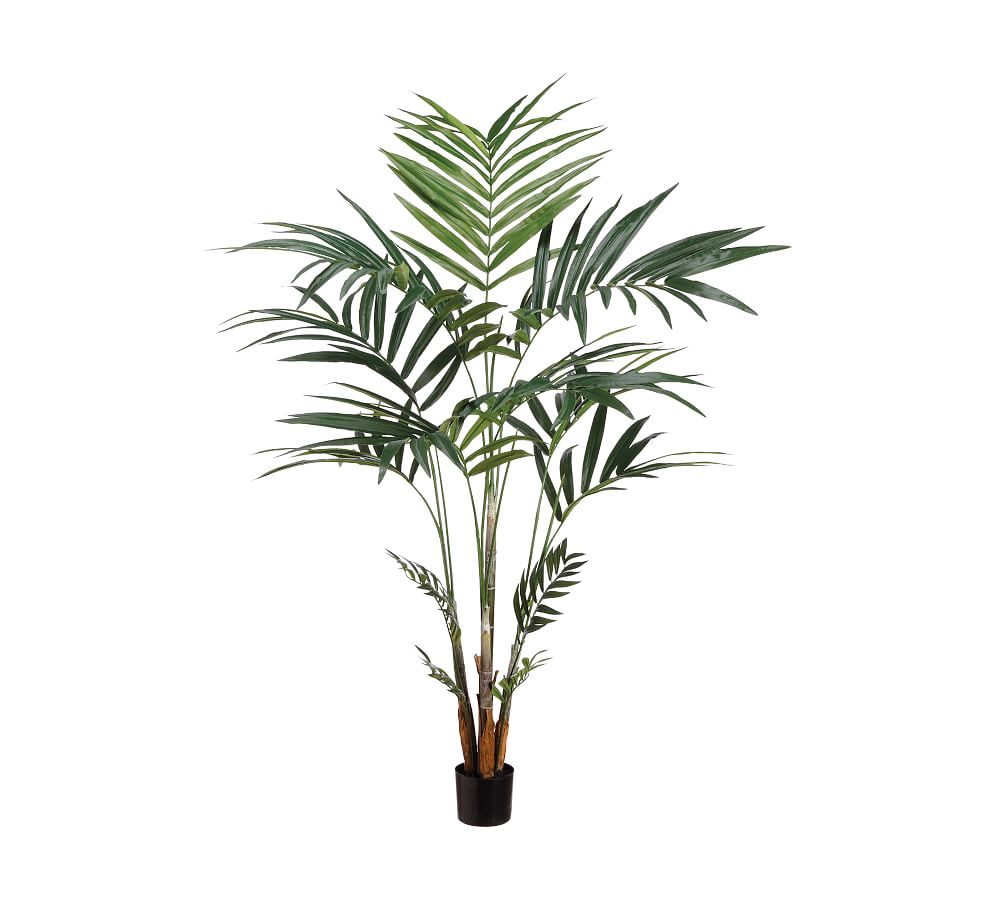 Faux Potted Kentia Palm Pottery Barn