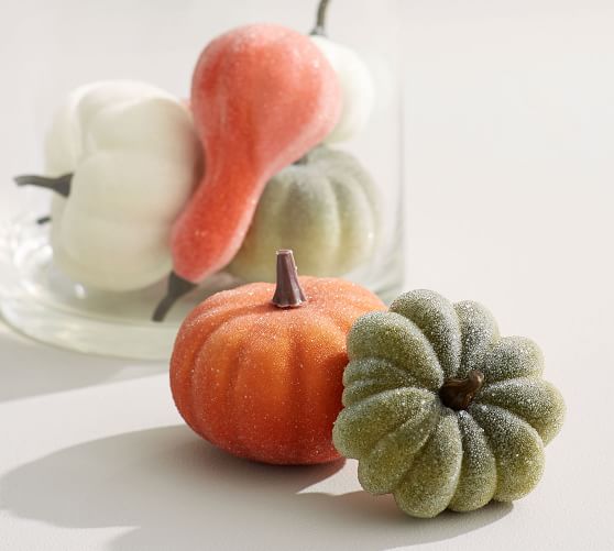 Sugared Pumpkin Vase Filler Pottery Barn