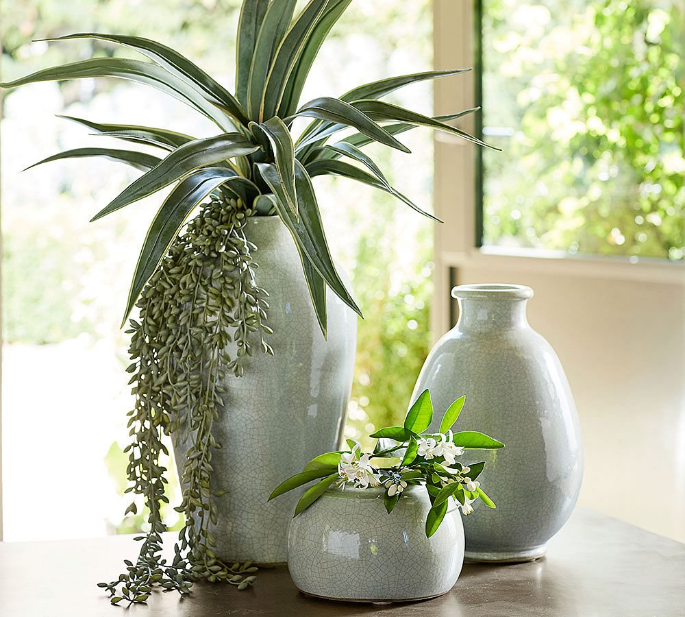 Faux Agave Stem Pottery Barn