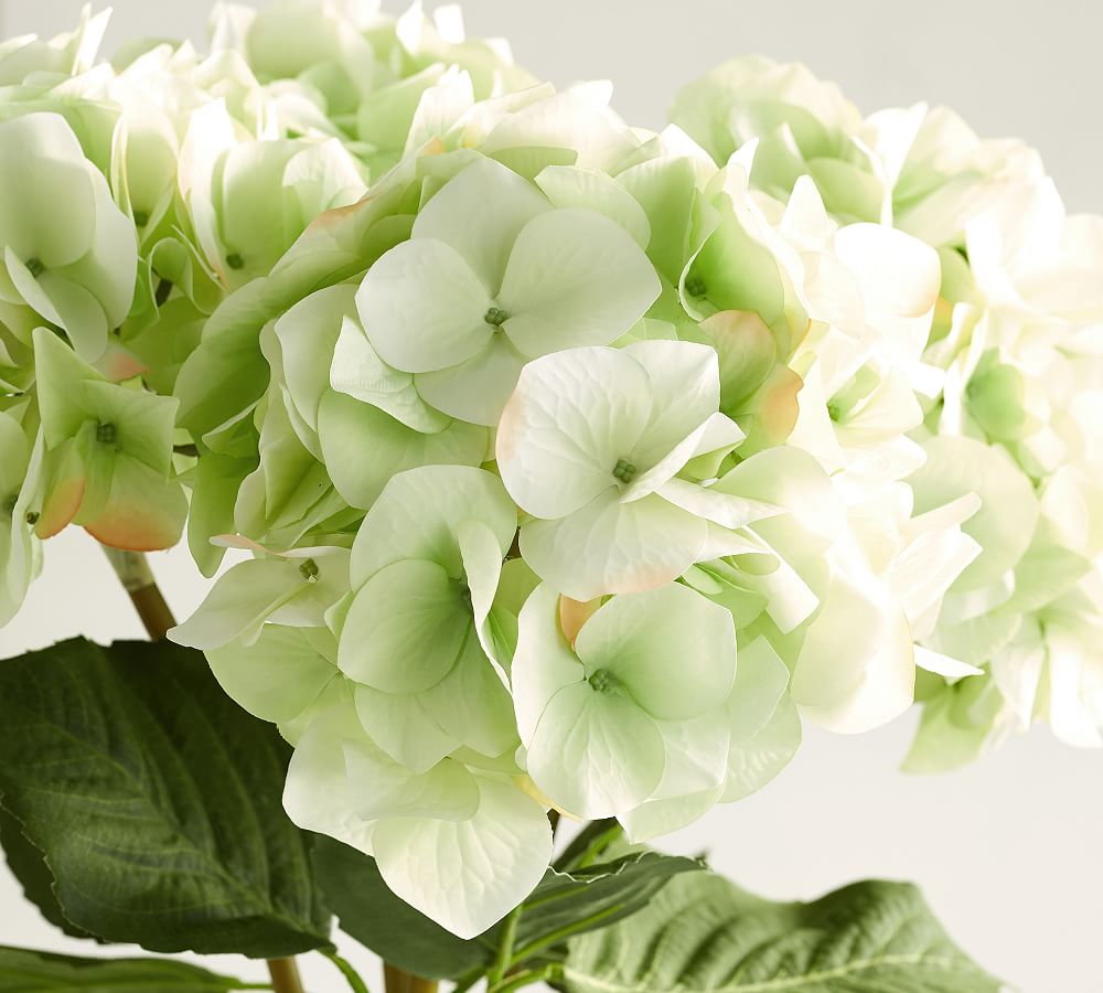 Faux Hydrangea Stems Artificial Flowers Pottery Barn