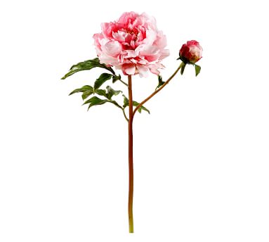Faux Peony Open Stem with Bud | Artificial Flowers | Pottery Barn