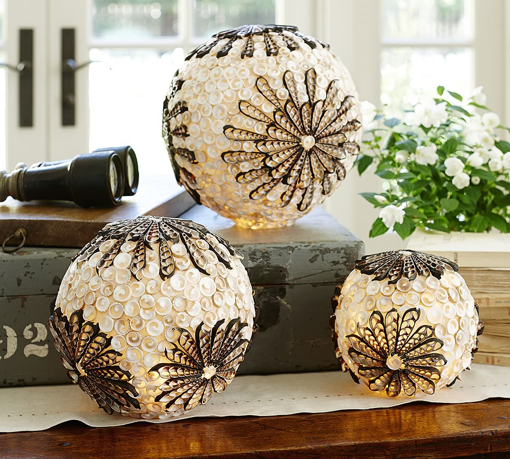 Lit Shell Orb Pottery Barn
